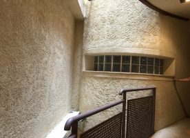 IMG_3247